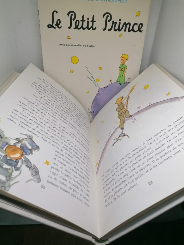 livre le petit prince