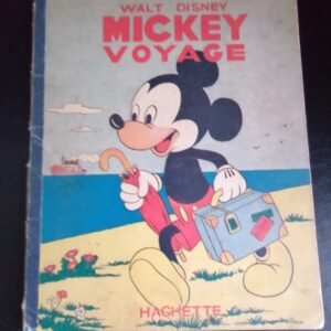 BD Mickey voyage