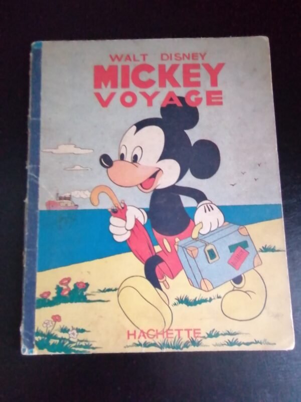 BD Mickey voyage