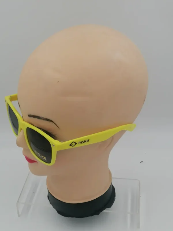 lunettes de soleil passoa