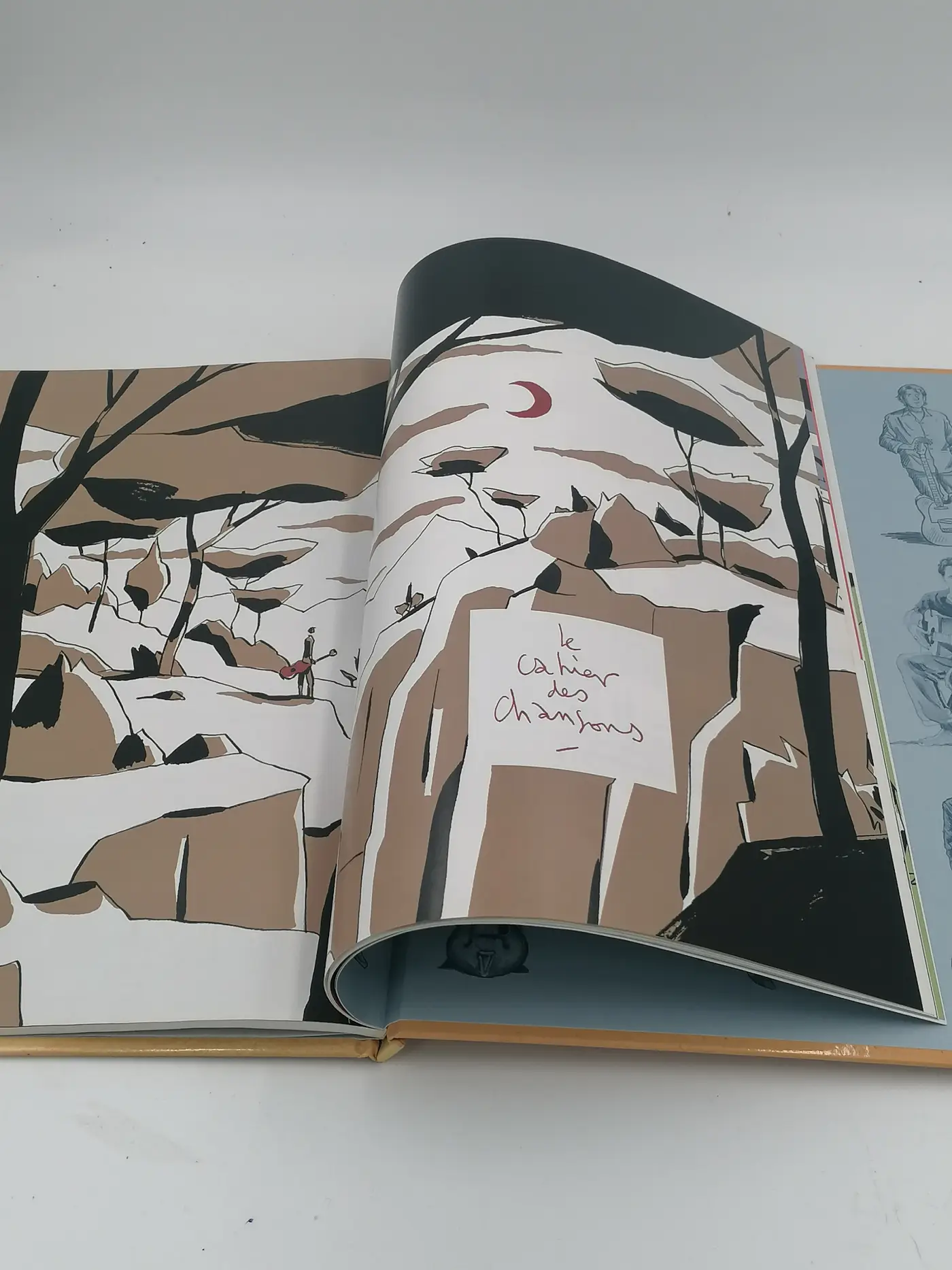 Les Beaux Dessins Francis Cabrel (bande dessinée) – Image 8