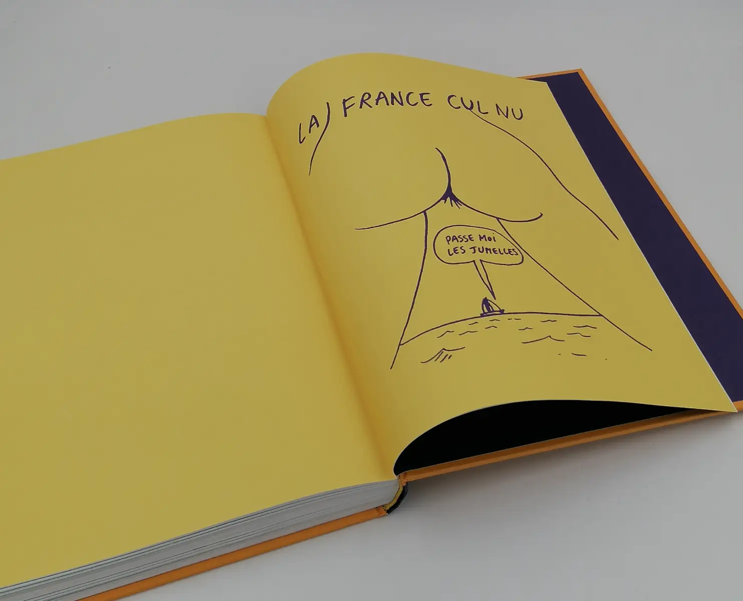 livre wolinsky